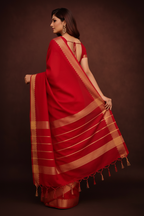 Back-facing angle – pallu & border detail