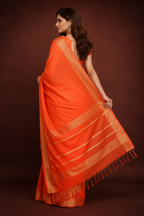 Back-facing angle – pallu & border detail