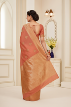 Back pose pallu drape