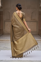 Back pose showing pallu drape