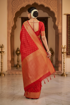 Back pose showing pallu drape