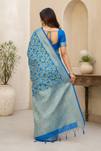 Back pose showing pallu drape