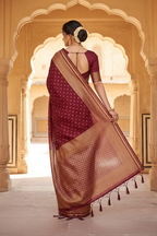 Back pose showing pallu drape