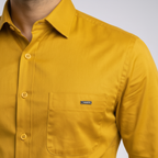 Collar & Button Detail